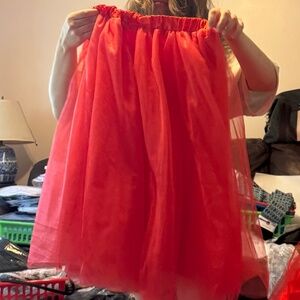 Tulle skirt, excellent condition.  Ladies medium-ish